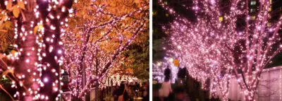 Meguro River Minna no Illumination