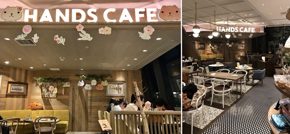 Kapibara-san theme Café