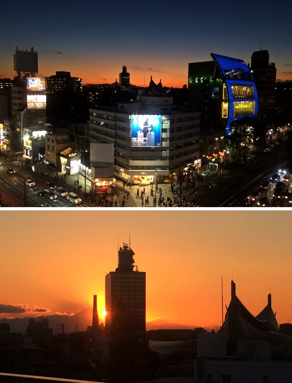 view the illuminations and the sunset over Shibuya?