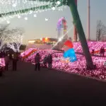 Sagamiko Resort