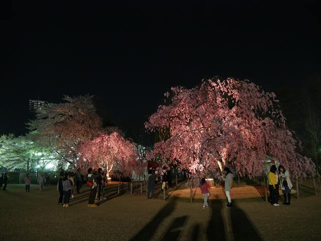 Yamagata Castle (Kajo Park)
