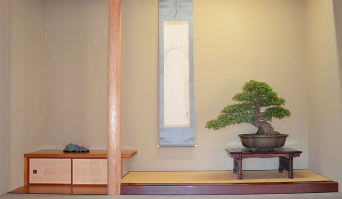 bonsai decorated at the Tokonoma, Japanese style alcove
