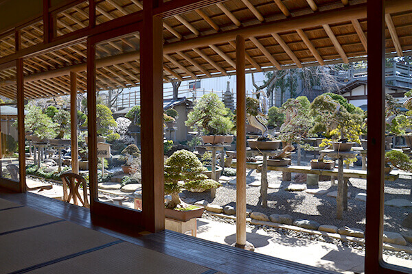 a view from the Japanese style sunroom