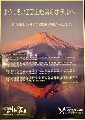The hotel boasts a view of Mt Fuji 
