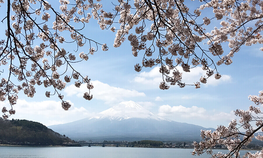 Lake Kawaguchiko