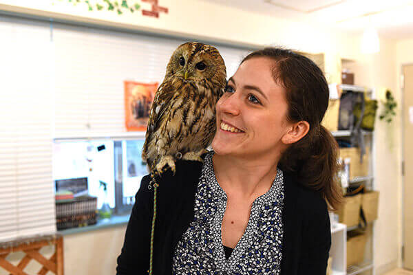 foreigner visitor tourist owl cafe ikebukuro