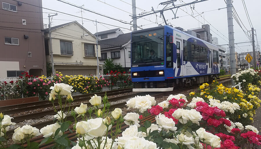 Photo: © Bureau of Transportation. Tokyo Metropolitan Government.