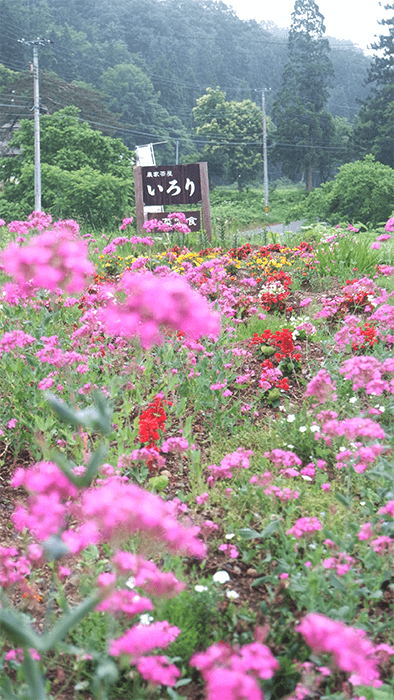 japanese-minshuku-flowers-countryside-japan