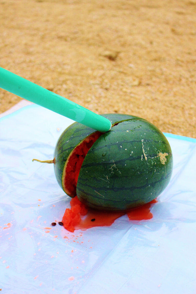 suikawari, watermelon smashing