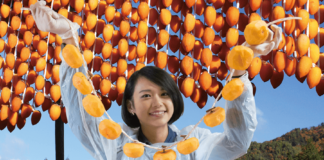 Best Autumn Fruits to Enjoy dried persimmon