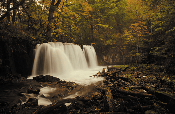 Oirase Mountain Stream