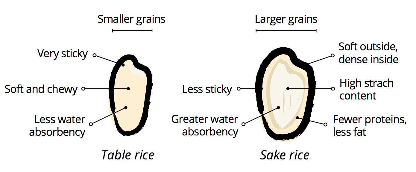 Table Rice vs Sake Rice