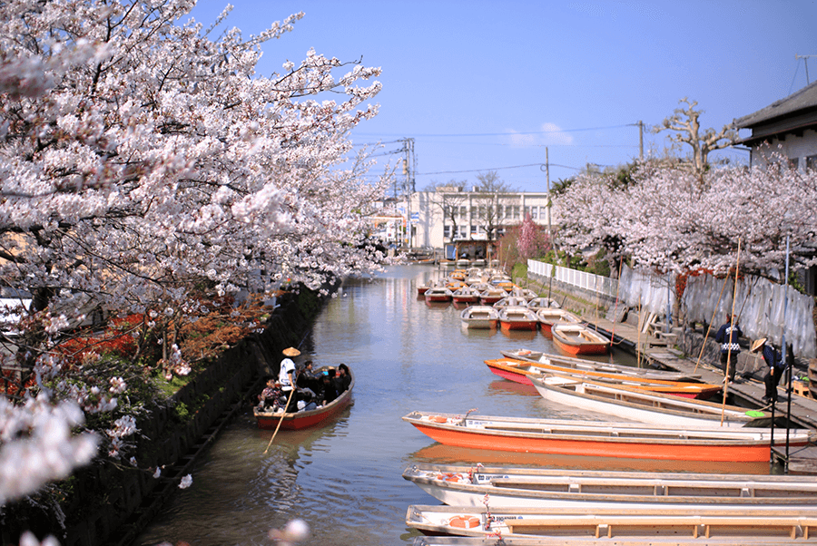 A-cruise-on-the-Yanagawa