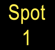 spot-1