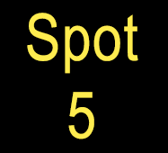 spot-5
