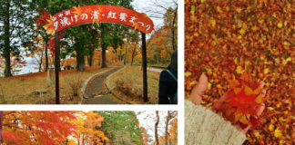 Fuji Five Lakes in Autumn: Stunning Colors of Japan’s Foliage (Part 1)