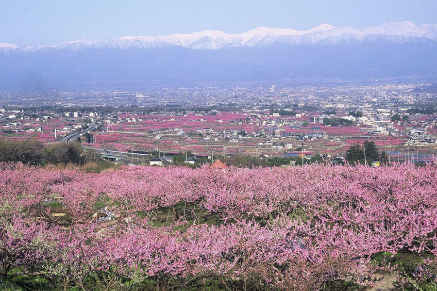 mountain range view