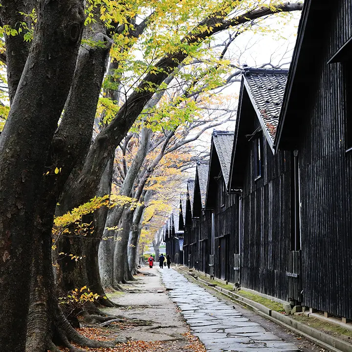 Autumn Sakata Warehouses