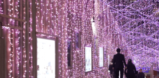 Shinjuku Terrace City Illumination Shinjuku-Terrace-City-Illumination