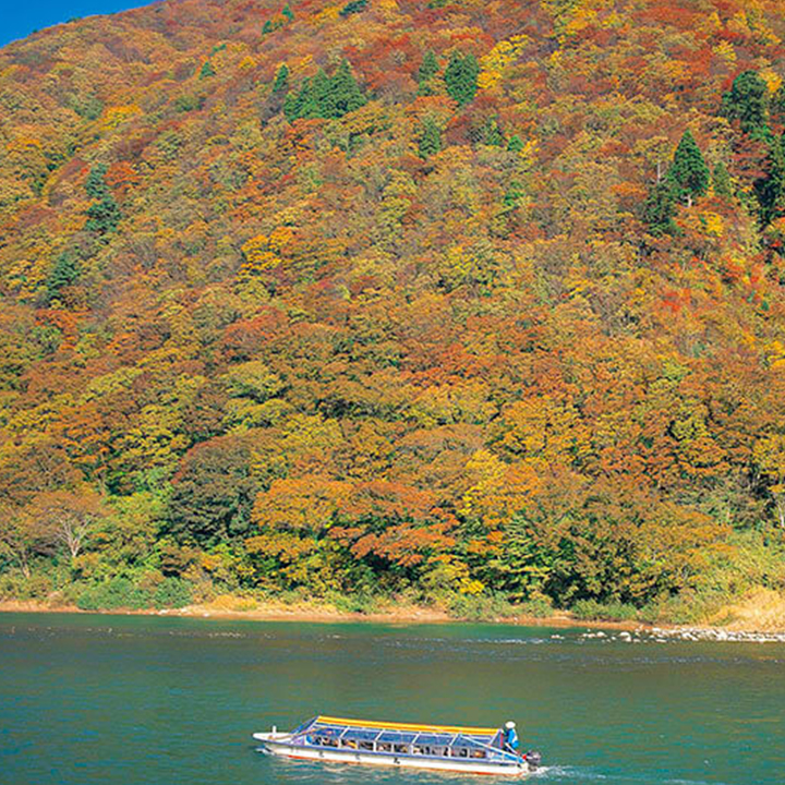 Fall Foliage Yamagata