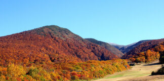 Ultimate Map of Fall Foliage Destinations in Japan : Yamagata Prefecture Ultimate Map of Fall Foliage Destinations in Japan : Yamagata Prefecture
