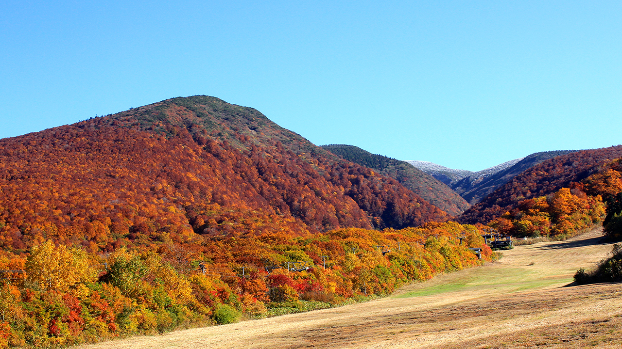 Ultimate Map of Fall Foliage Destinations in Japan : Yamagata Prefecture