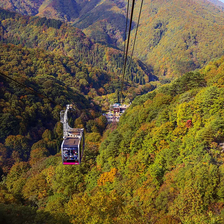 fall foliage yamagata