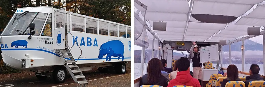 Board the amphibian bus to explore the area