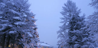 Kanaya Hotel: A Refined Blend of Cultures in Nikko, Japan Nikko Kanaya Hotel