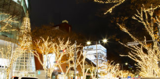 Omotesando Winter Illumination 2018 omotesando-illuminations