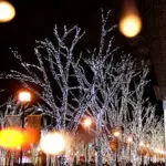 omotesando-lights