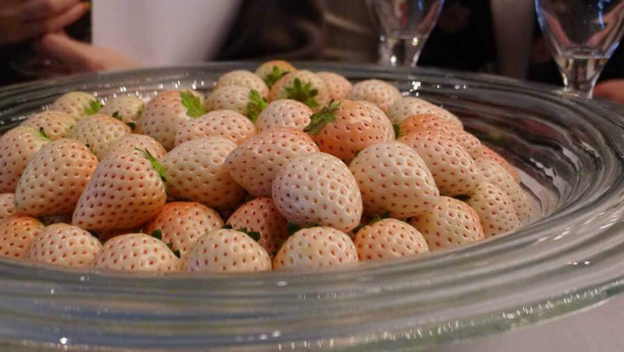 the white strawberries
