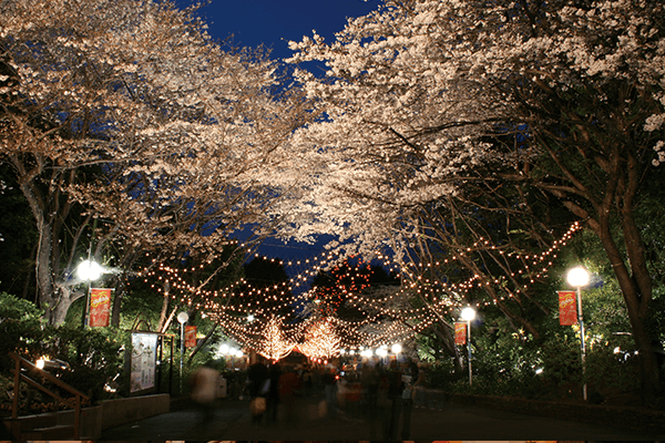 Toshimaen