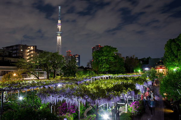 Kameido Tenjin