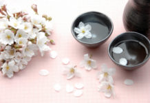 Cherry blossom season in Japan: the love of the ephemeral