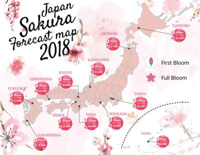 Cherry blossoms forecast for 2018