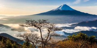Mysterious, powerful water originating from Mt.Fuji and the Japan Alps Mt. Fuji