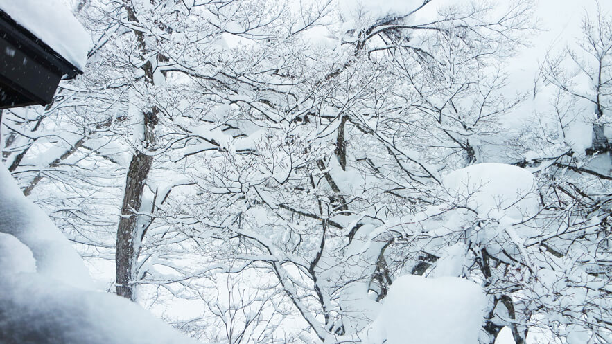 Winter at Yamagata