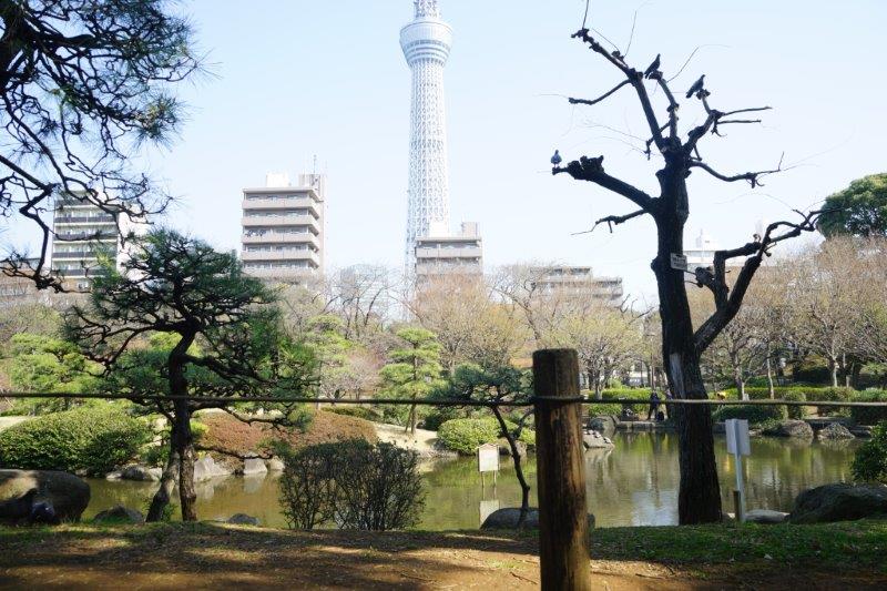 Sumida park