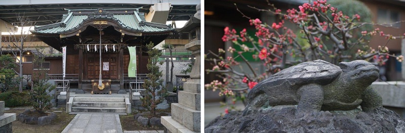 The present-day shrine with koma kame guardian turtles, instead of the usual guardian dogs.