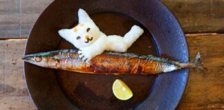 A Taste of Sh旬n: Sanma Fish Japanse Autumn Fish