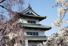 Guardians of Hirosaki Sakura Trees in Aomori Hirosaki castle cherry blossoms