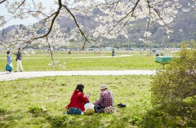 Kitakami family time cherry blossom viewing