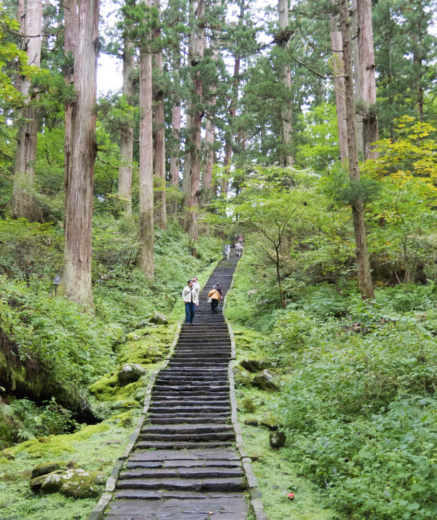 Mount Haguro path