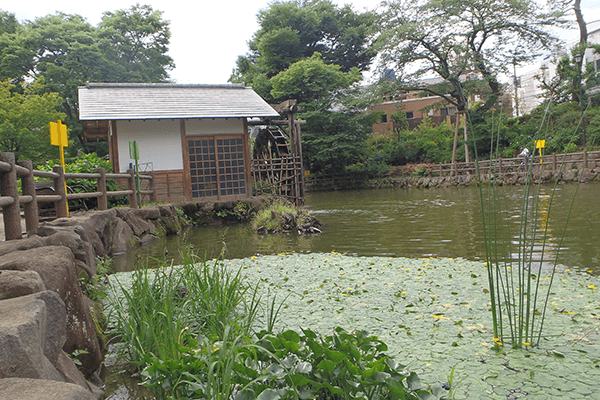 Nabeshima-Shoto-Park
