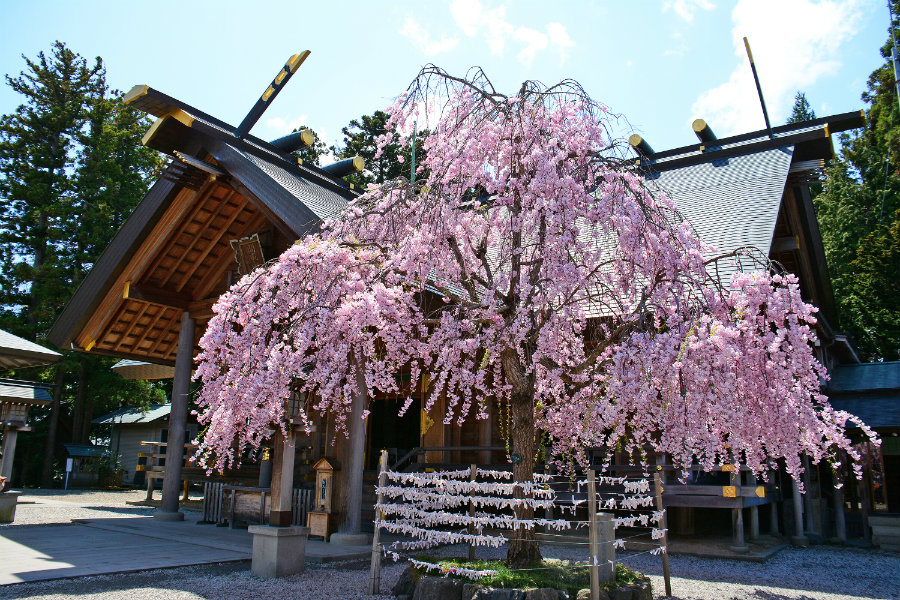 kaiseizan daijingu shrine