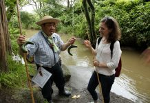 Tono: the Enchanting Land of Yokai