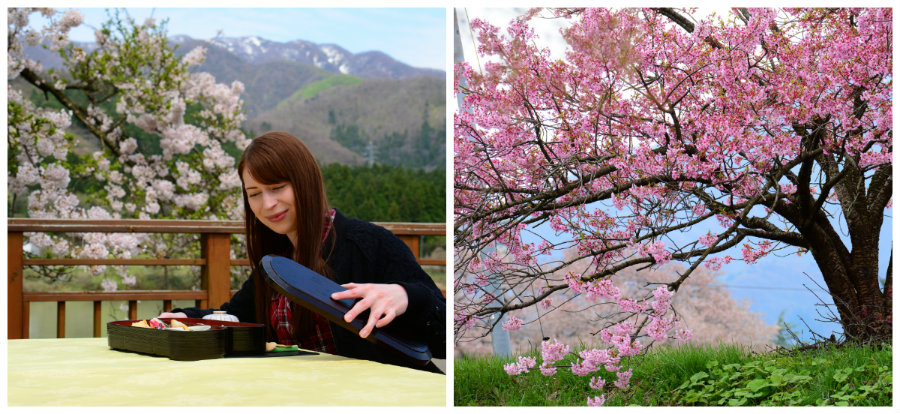 sakihana onsen and sakura