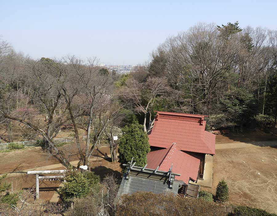 sayama hills