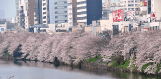 Another 3hr trip – Shinjuku & Iidabashi